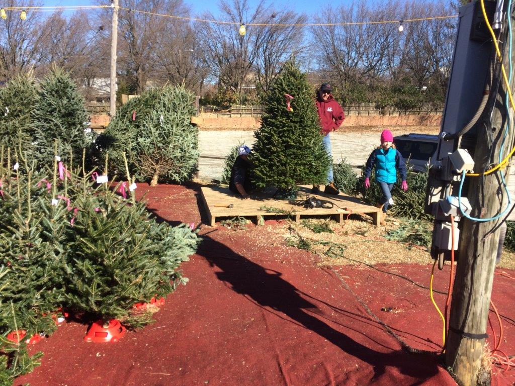 Products & Pictures Bryans Christmas Trees Greensboro