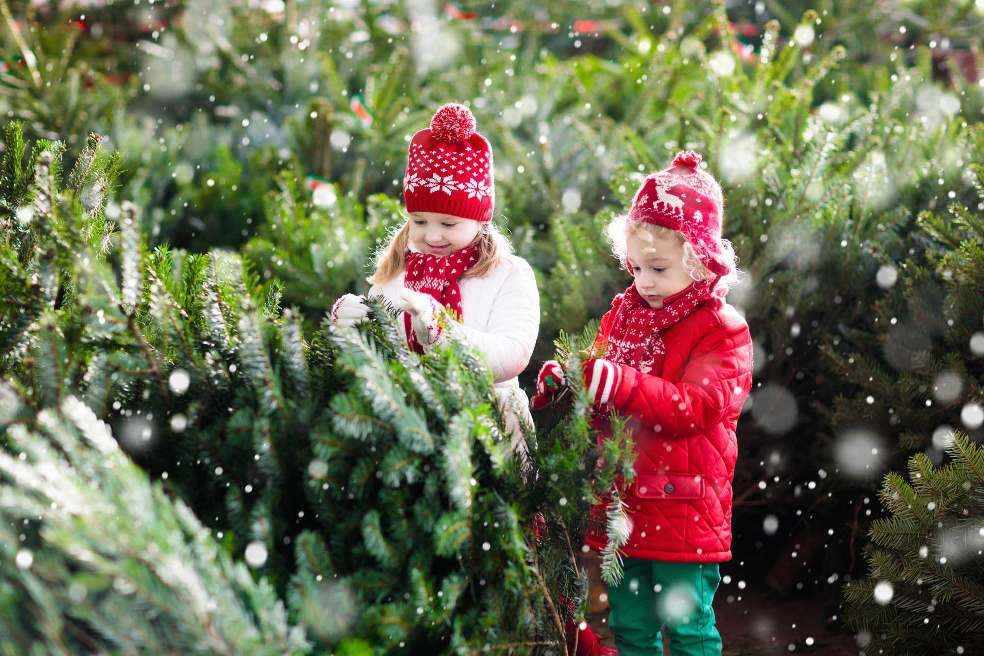 kids-at-christmas-tree-lot