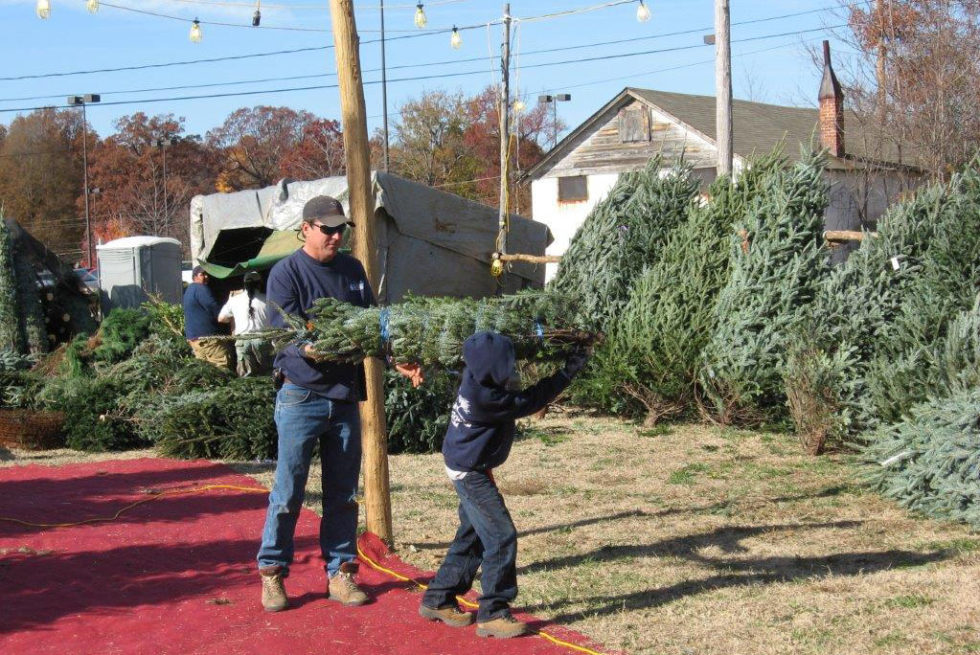 Local Christmas Tree Lot Greensboro, NC About Bryan's Christmas Trees